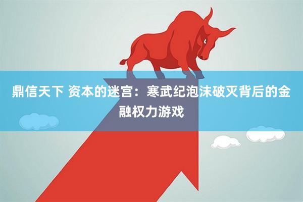 鼎信天下 资本的迷宫：寒武纪泡沫破灭背后的金融权力游戏