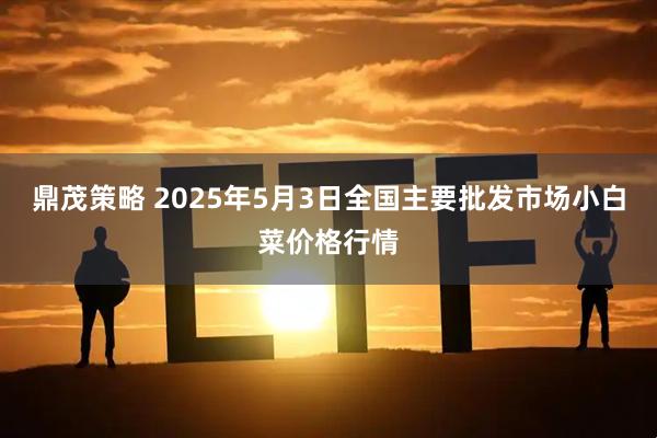 鼎茂策略 2025年5月3日全国主要批发市场小白菜价格行情