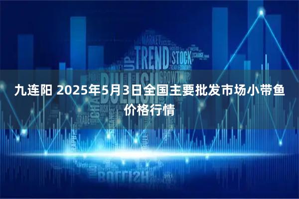 九连阳 2025年5月3日全国主要批发市场小带鱼价格行情