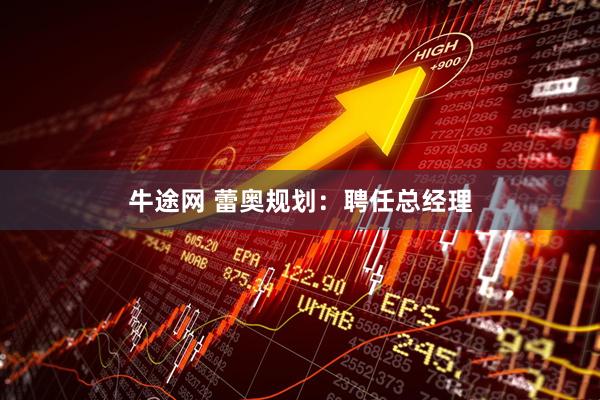 牛途网 蕾奥规划：聘任总经理