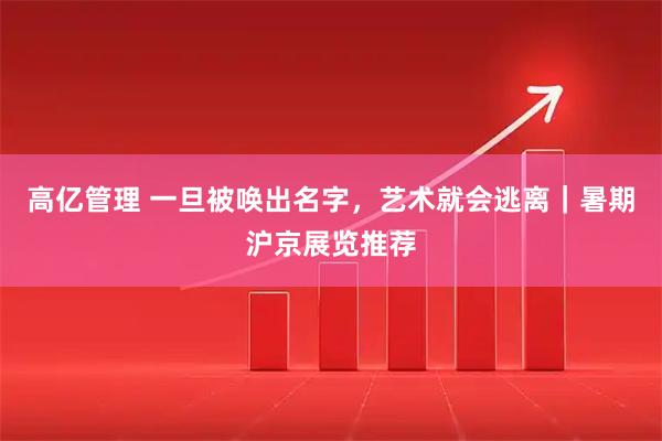高亿管理 一旦被唤出名字，艺术就会逃离｜暑期沪京展览推荐