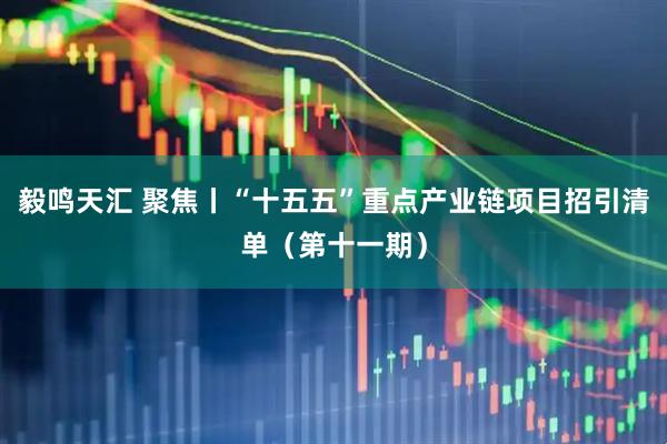 毅鸣天汇 聚焦丨“十五五”重点产业链项目招引清单（第十一期）