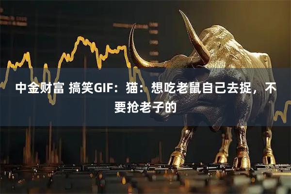 中金财富 搞笑GIF：猫：想吃老鼠自己去捉，不要抢老子的
