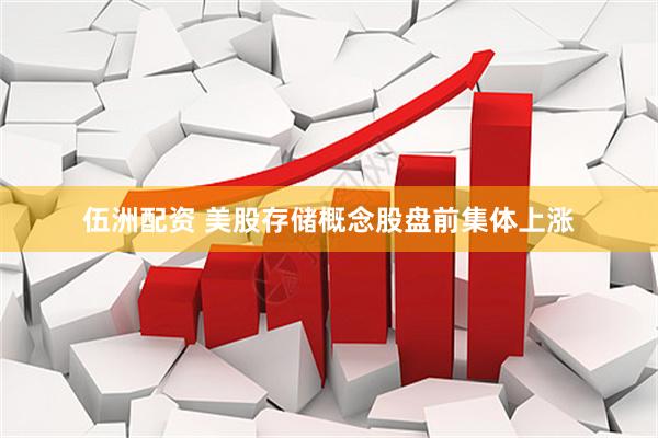 伍洲配资 美股存储概念股盘前集体上涨