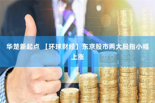 华楚新起点 【环球财经】东京股市两大股指小幅上涨