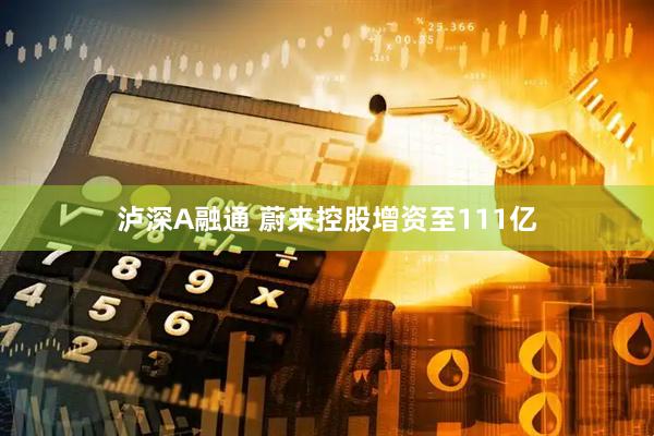 泸深A融通 蔚来控股增资至111亿